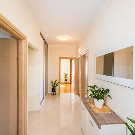 Apartment Visnja