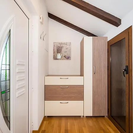 Apartment Visnja