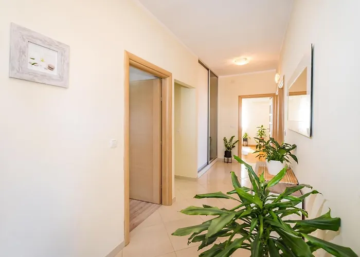Visnja Apartment *