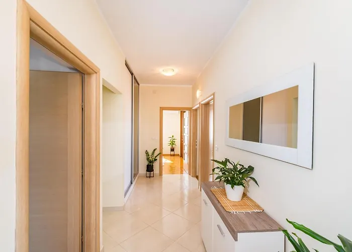Apartment Visnja
