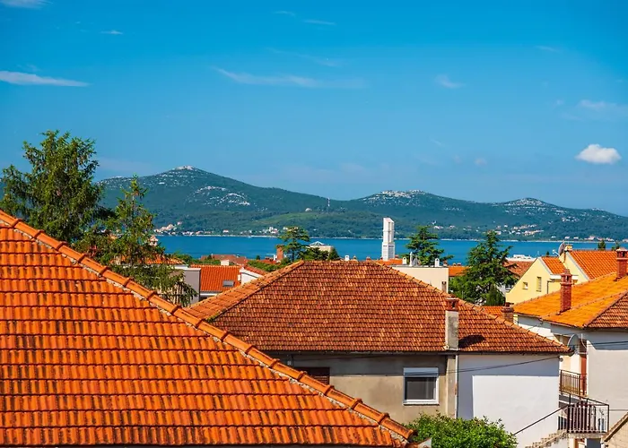Visnja * Zadar
